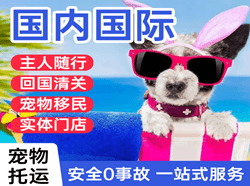 五台山空运代理国际宠物托运 【国